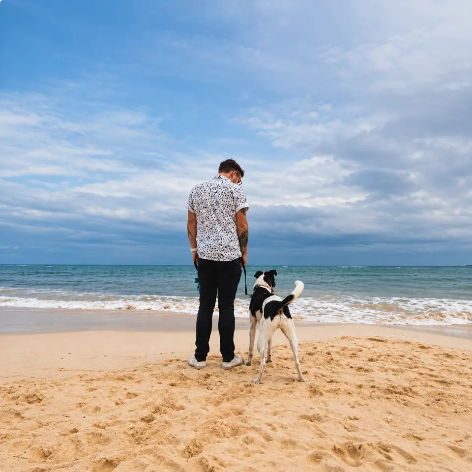 Person and dog looking out over the coast